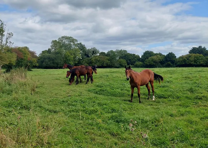 Holiday home La Firmiere - Maison De Maitre - Famille Et Amis Ommeel