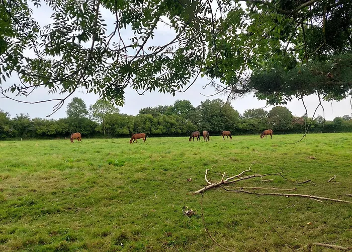 La Firmiere - Maison De Maitre - Famille Et Amis Holiday home Ommeel
